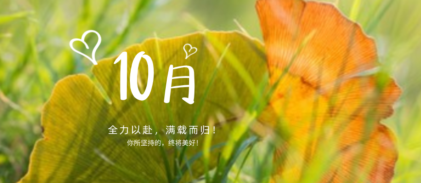 蓄力下半場|“十不我待，吾力全開”！網(wǎng)站設(shè)計(jì)、網(wǎng)站優(yōu)化都快做起來！